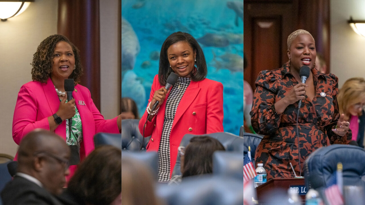 LaVon Bracy Davis Ashley Gantt Michele Rayner -- Florida House pics SBS