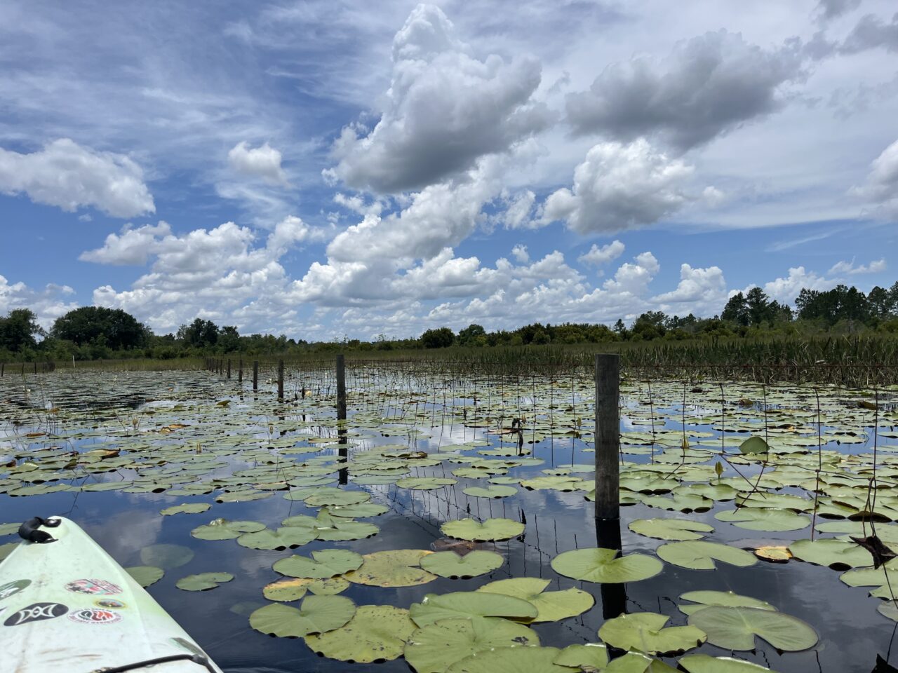 LAKEFENCING