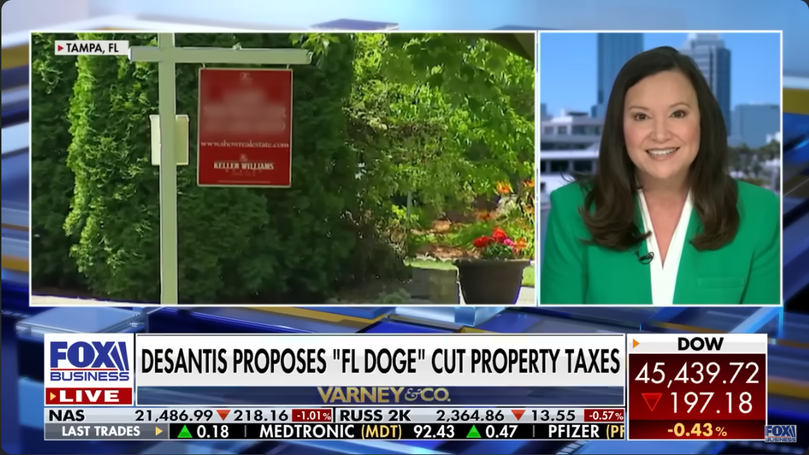 Ashley Moody via Fox Biz