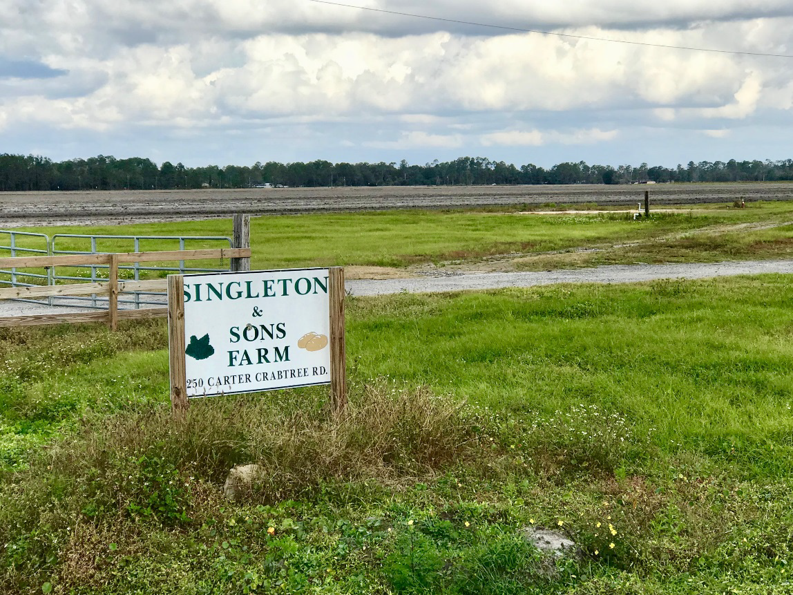 SINGLEtONPROPERTy
